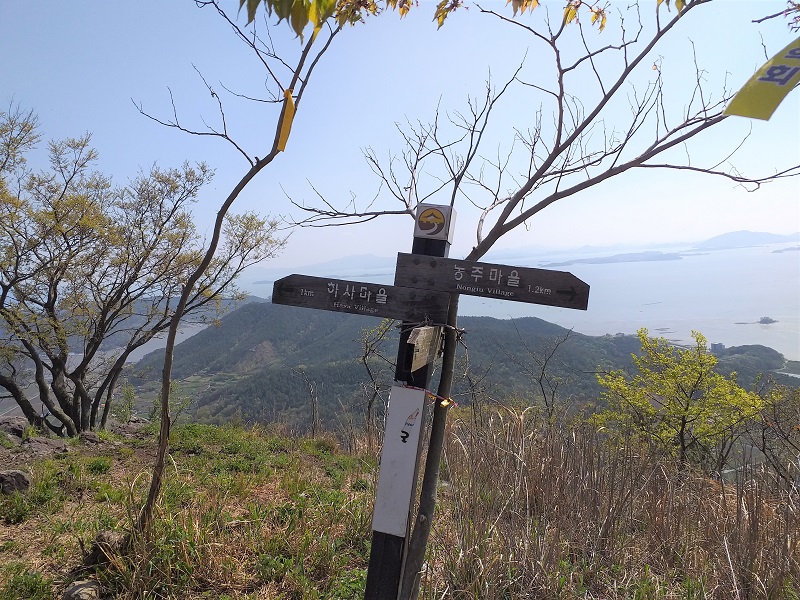등산 칼로리