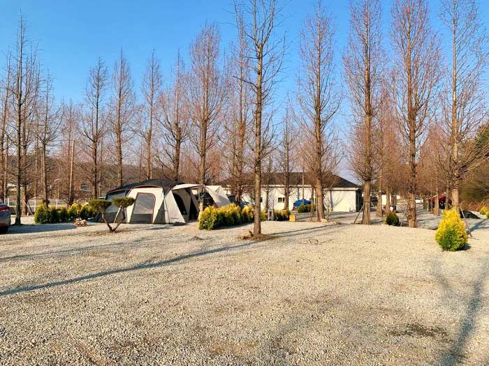 생방송오늘저녁 강화도 차박 투어 3분이면 변신 완료 트레일러 캠핑마차 정체 캠핑카 블로그 유튜브