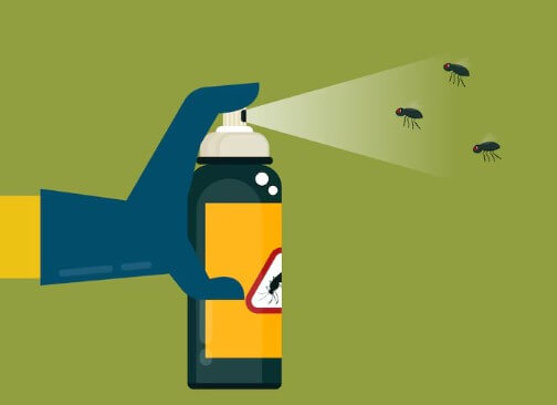 러브-버그-출몰-시기-퇴치-방역-4