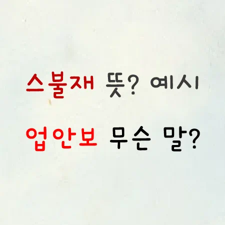 스불재 뜻 업안보 무슨 말