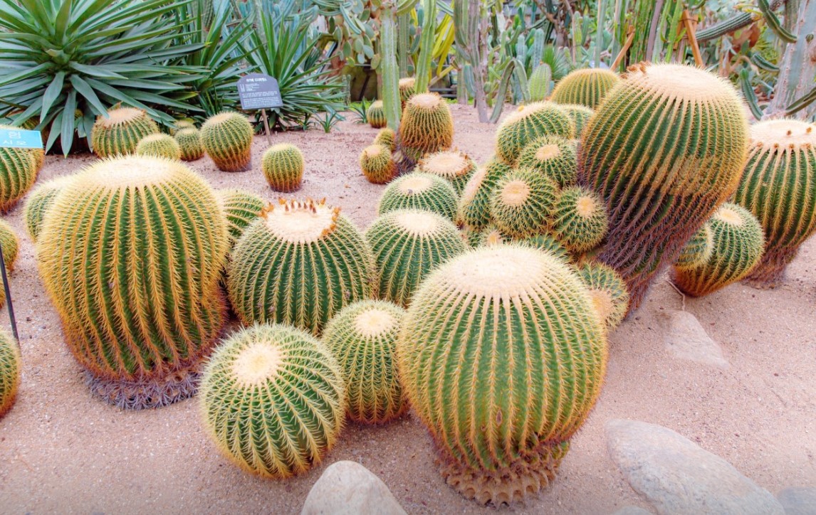 여미지식물원(6)