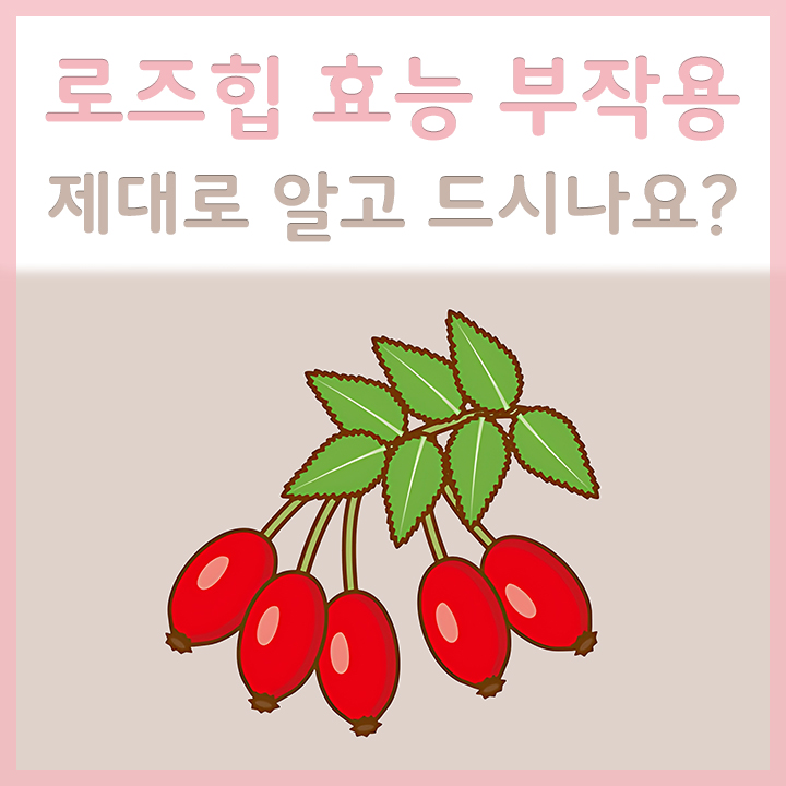로즈힙의-모습