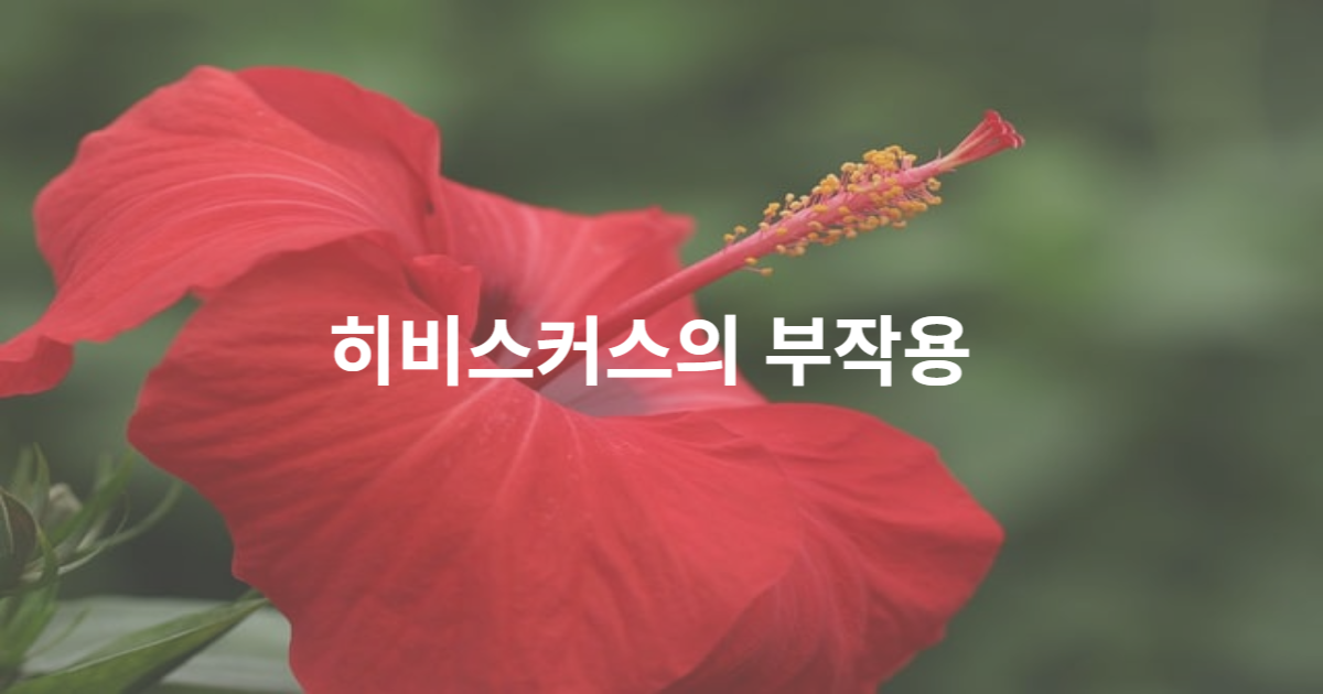 제목을 입력해주세요_-001 - 2023-07-29T221446.403.png