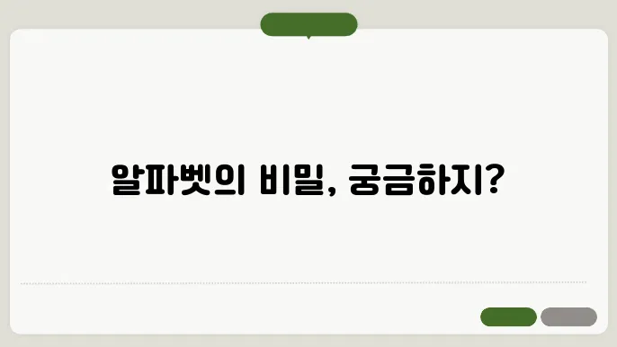 영어알파벳 정보 총정리