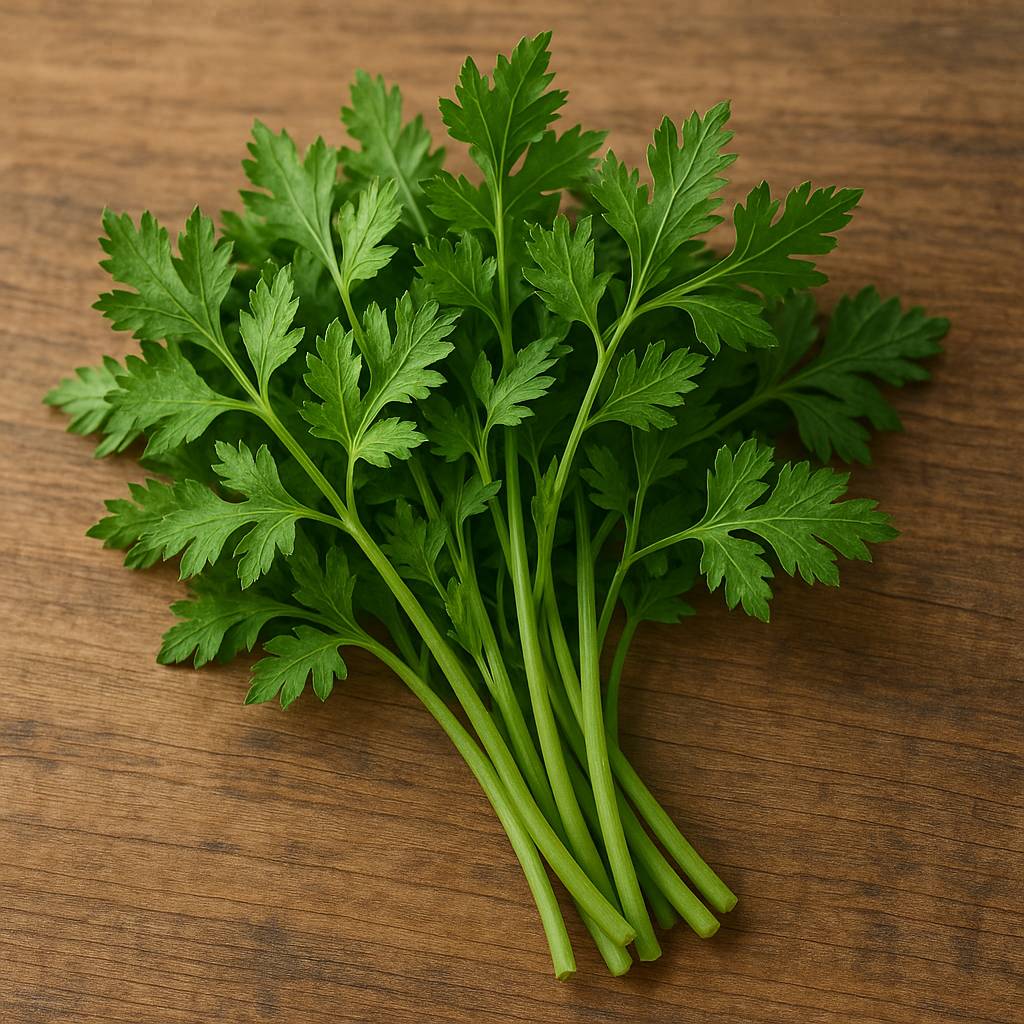 싱싱하게 수확된 방풍나물 한 줌이 나무 바닥 위에 올려져 있는 모습. 연한 초록 줄기와 진한 초록 잎이 선명하게 보이며 건강한 채소의 신선함을 전해준다