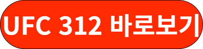 ufc312 바로보기