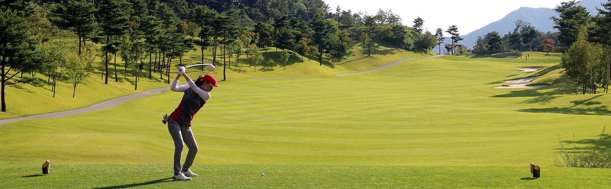 골프 티샷 사진