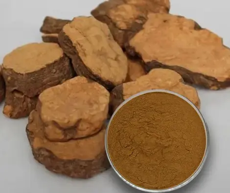 적하수오 뿌리를 절단하여 분말로 만든 모습