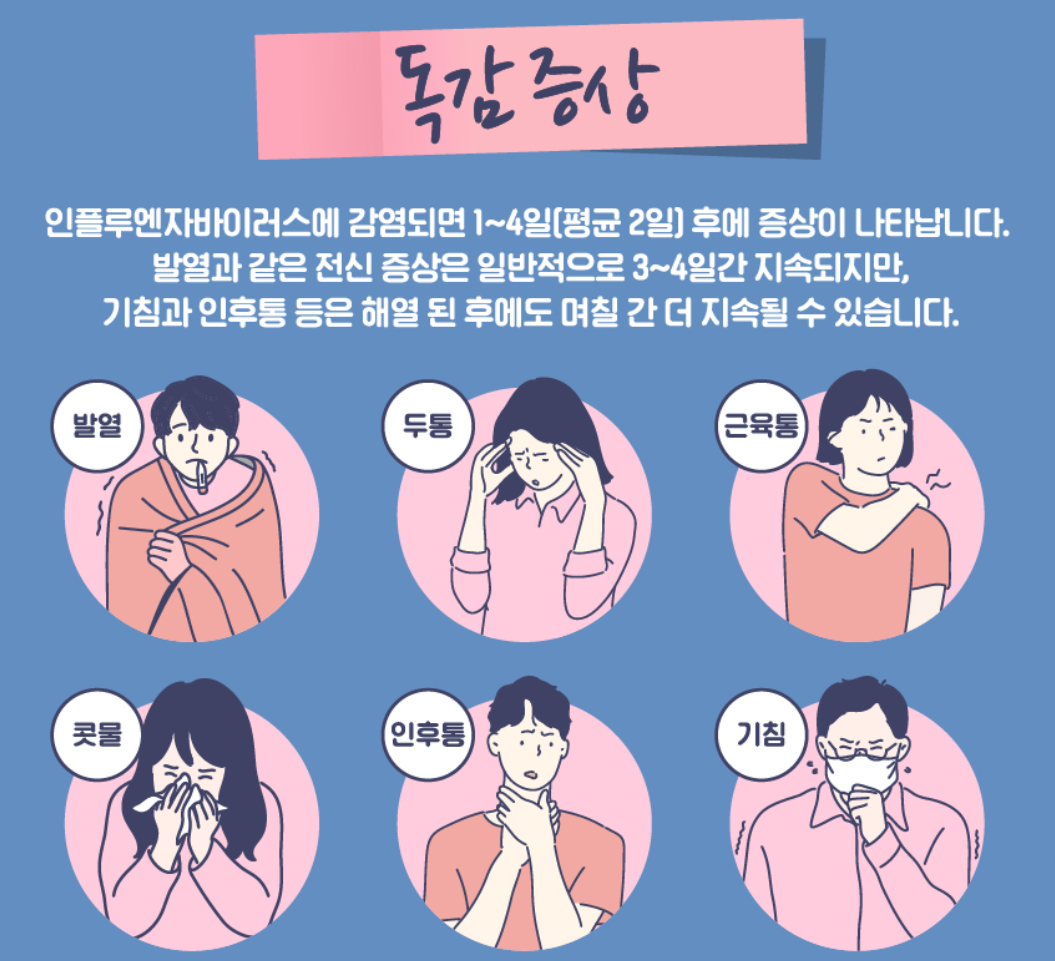 독감 증상