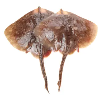 홍어 가격 및 효능&amp;#44; 영양성분 주의점