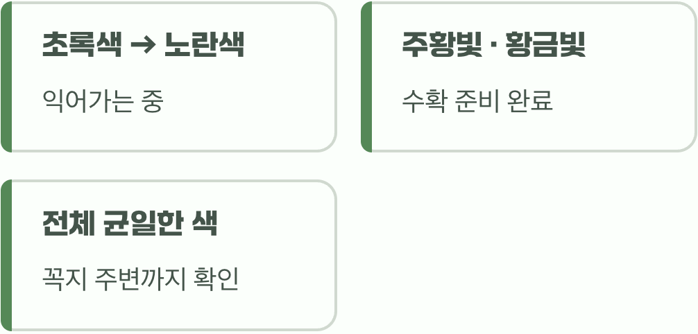 첫 번째 신호: 눈으로 확인하는 색의 변화