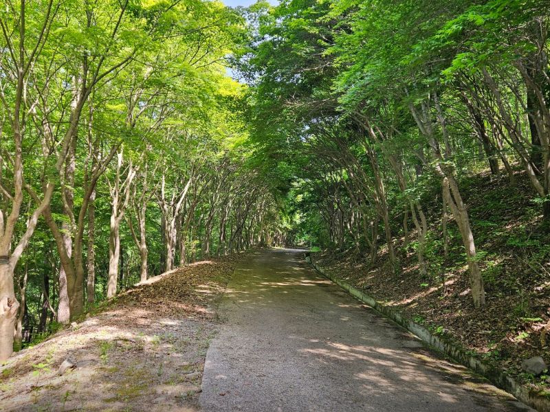 한천자연휴양림