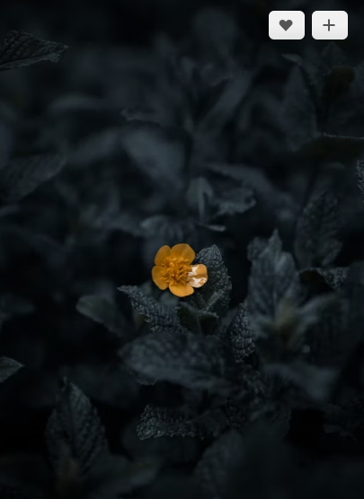 LG AI 프로세서의 TV 화질 개선, 명암비 조절, 장면별 색상 최적화