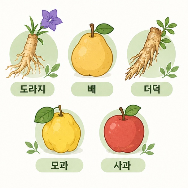 기관지에 좋다고 알려진 식품 안내