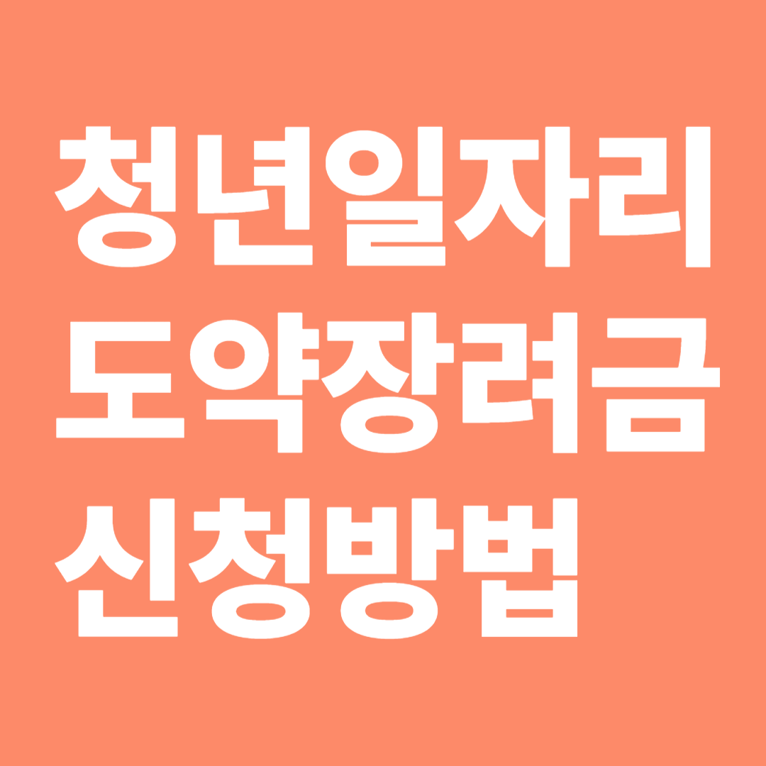 청년일자리 도약장려금