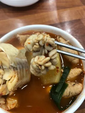 동태탕 동태찌개 시원하게 끓이는 방법 황금레시피_12