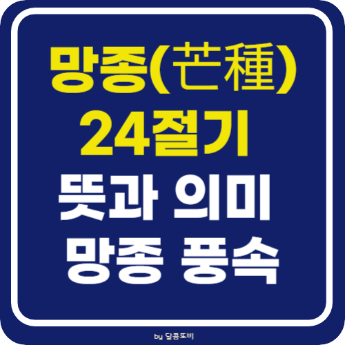 망종 뜻과 의미 망종 절기 알아보기