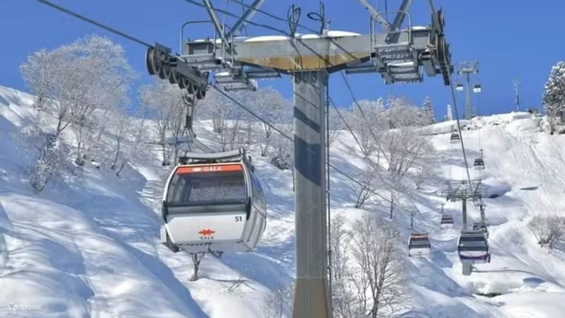 갈라 유자와 스키장 리프트 패스 장비 대여 프로모션 니가타 일본