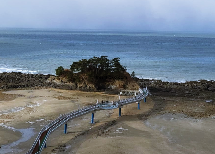 보령 가볼만한곳