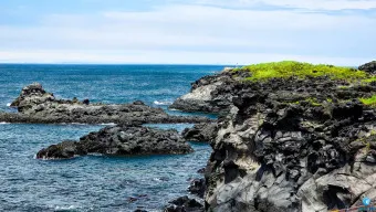 4월 제주도 가볼만한곳 2025년 10선_18