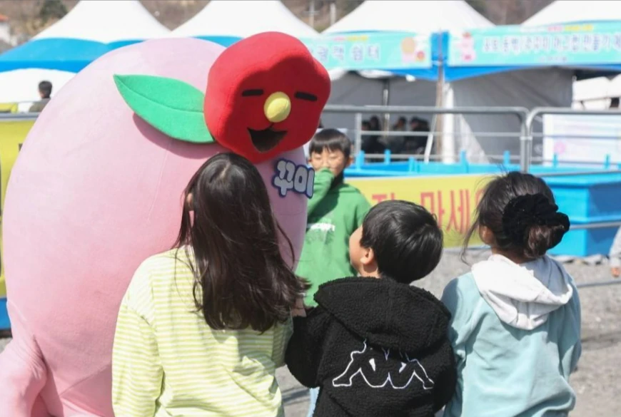 서천 동백꽃 쭈꾸미 축제 프로그램 참여방법&amp;#44; 운영시간&amp;#44; 교통 및 주차장(셔틀버스)