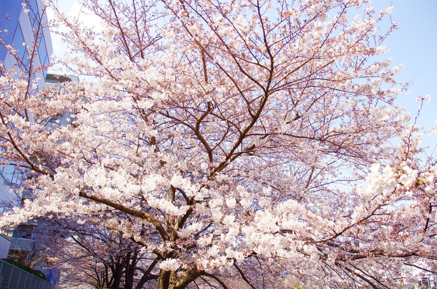 10. 화천 동구래 마을