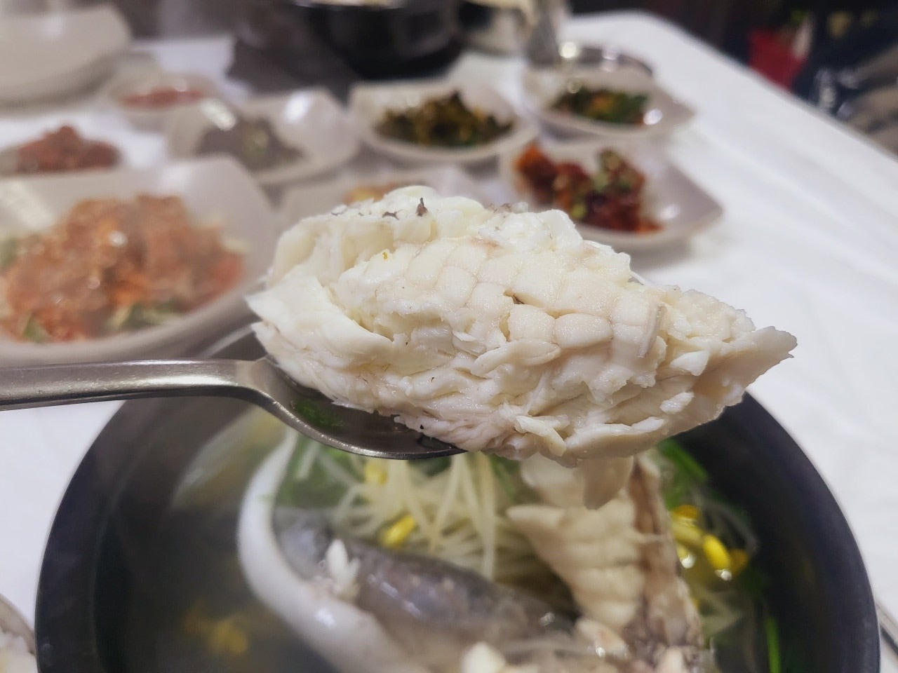 통영 아침식사 맛집

통영 아침식사 추천

통영 아침식사 가능한곳

통영 아침식사 되는곳

통영 아침식사 포장

통영 아침식사 내돈내산