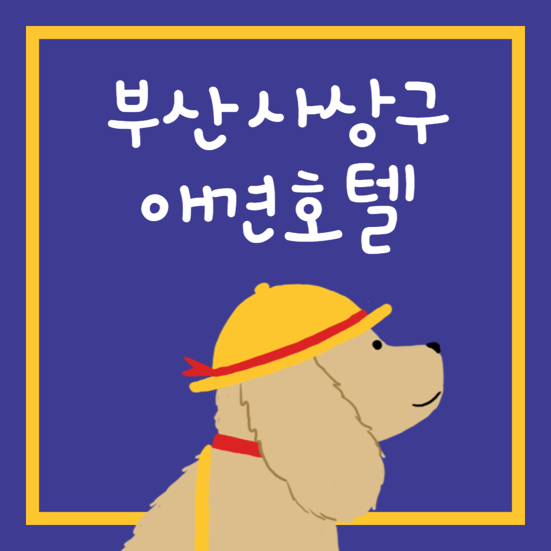 부산 사상구 애견호텔