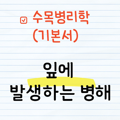 잎에 발생하는 병해