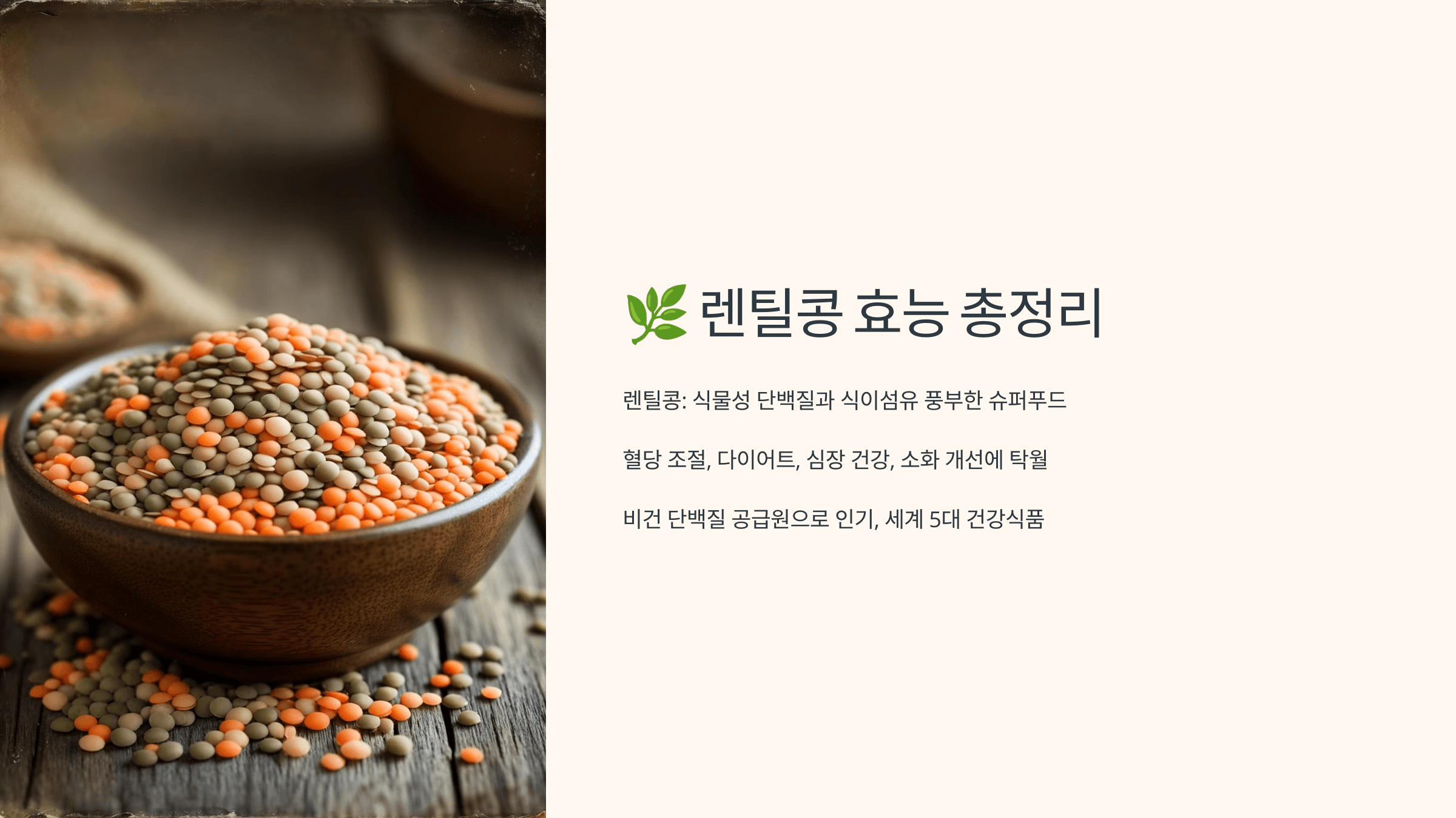 렌틸콩 사진입니다.