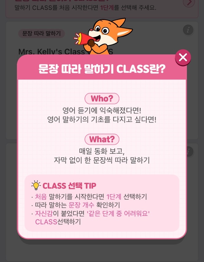 리틀팍스 후기