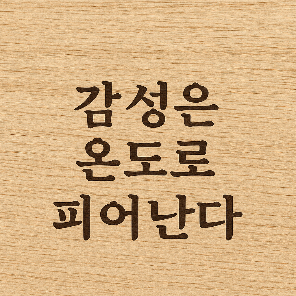 감성은 온도로 피어난다