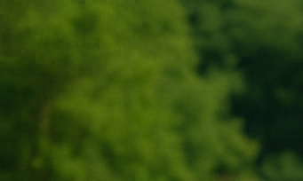 농협 벌초대행 신청방법