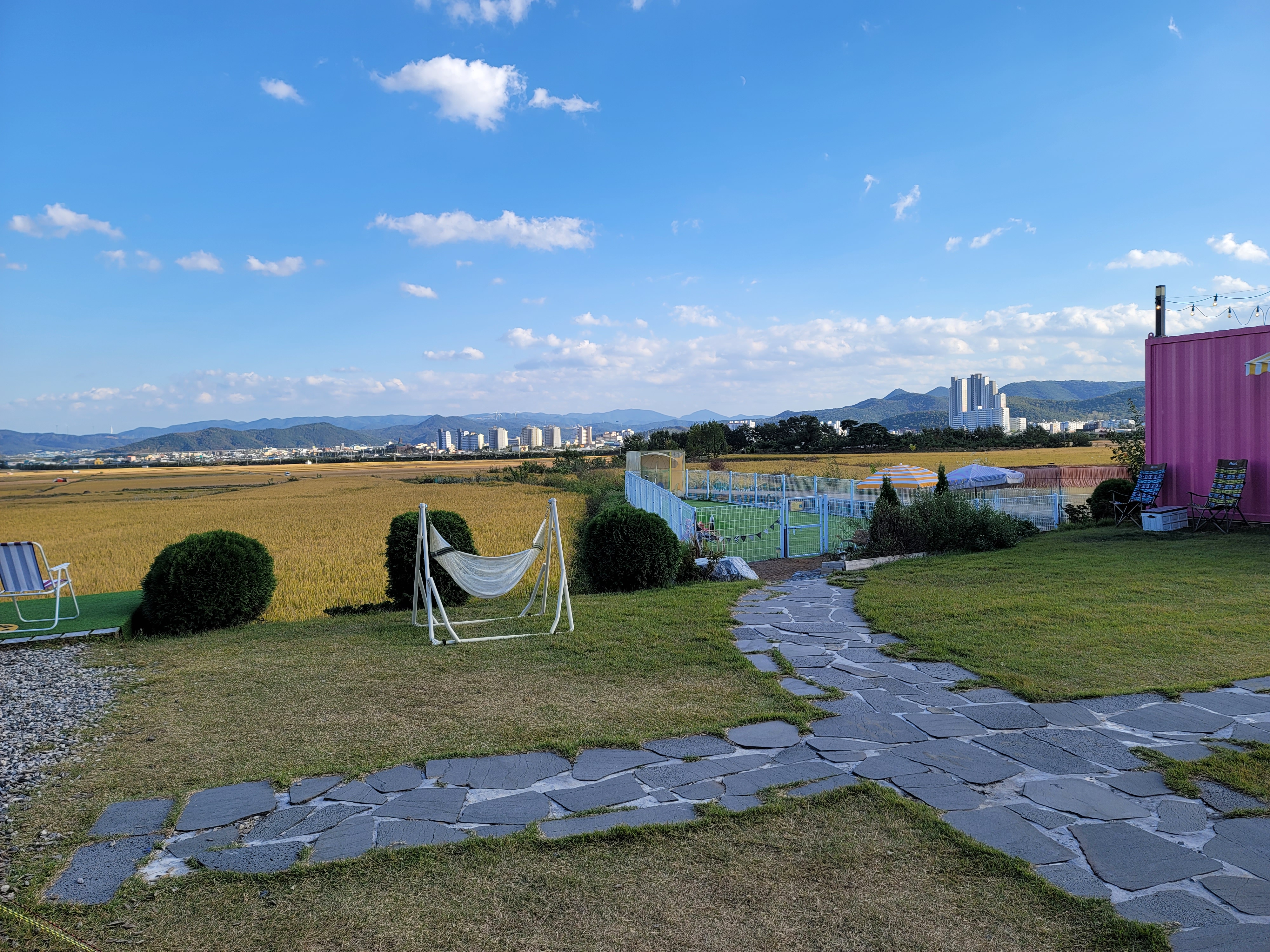 애견카페 카페논