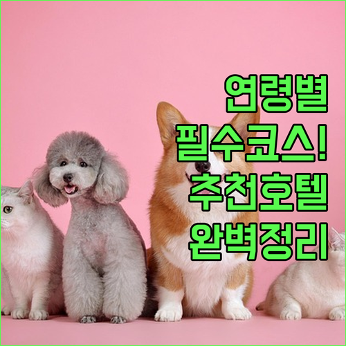 요코하마 앙팡맨 뮤지엄 연령별 추천 ..