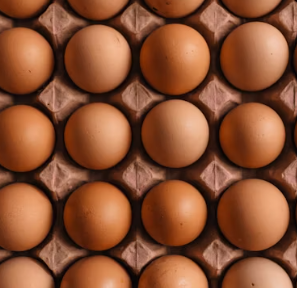 만성 신부전에 좋은 음식 영양제 식단