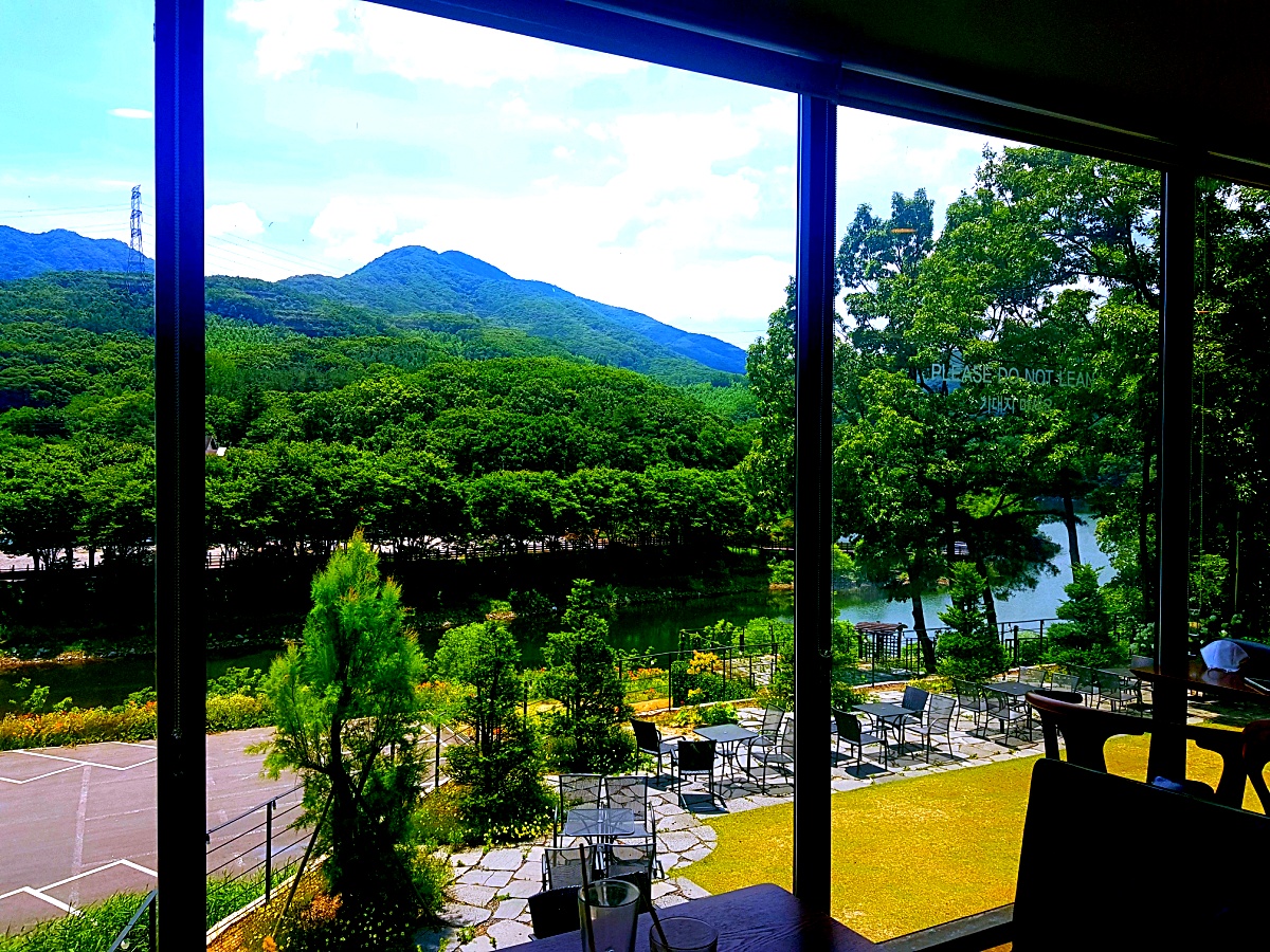 양주 오랑주리 카페: 자연 그대로 실내에 담은 대형 식물원 카페