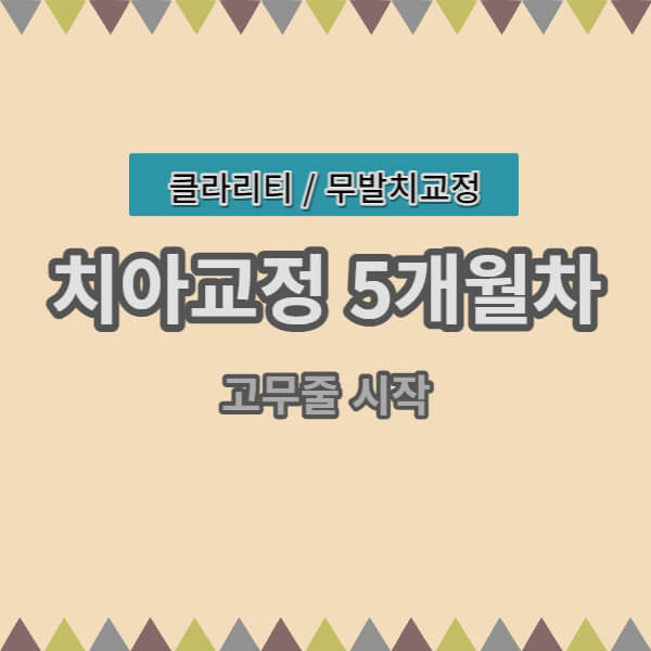 치아교정 5개월 기록 메인 이미지