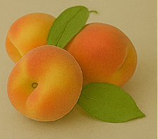 개복숭아효소의 효능