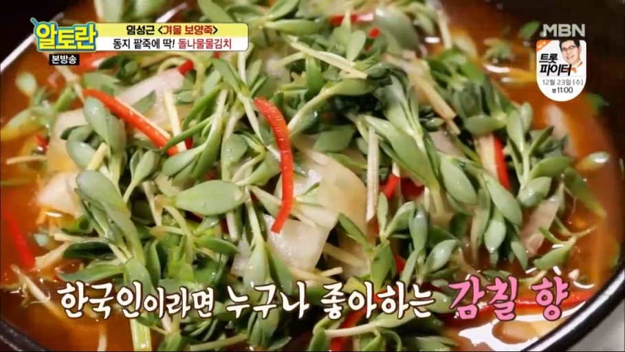 봄나물종류와효능 냉이 달래 쑥 두릅 씀바귀 머위 돌나물