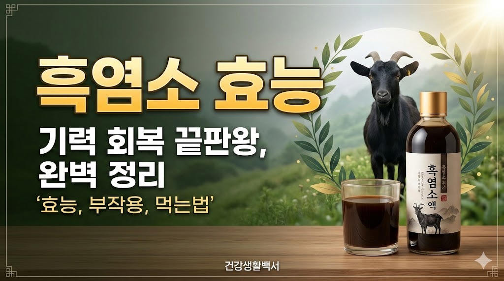 흑염소 효능