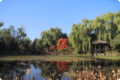 벽초지수목원 가을국화축제 사색의공간 이미지/ 출처: 벽초지수목원 홈페이지