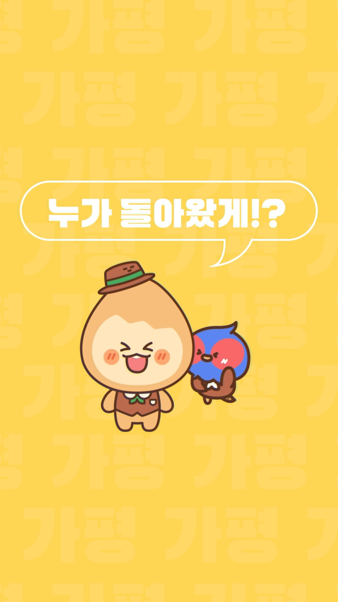Colorful Garden 자라섬 꽃 페스타 살펴보기 9