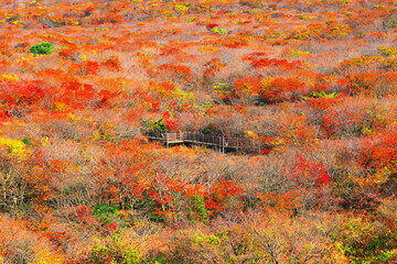 2023 단풍여행 시기 지역별 명소