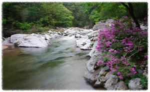용소계곡