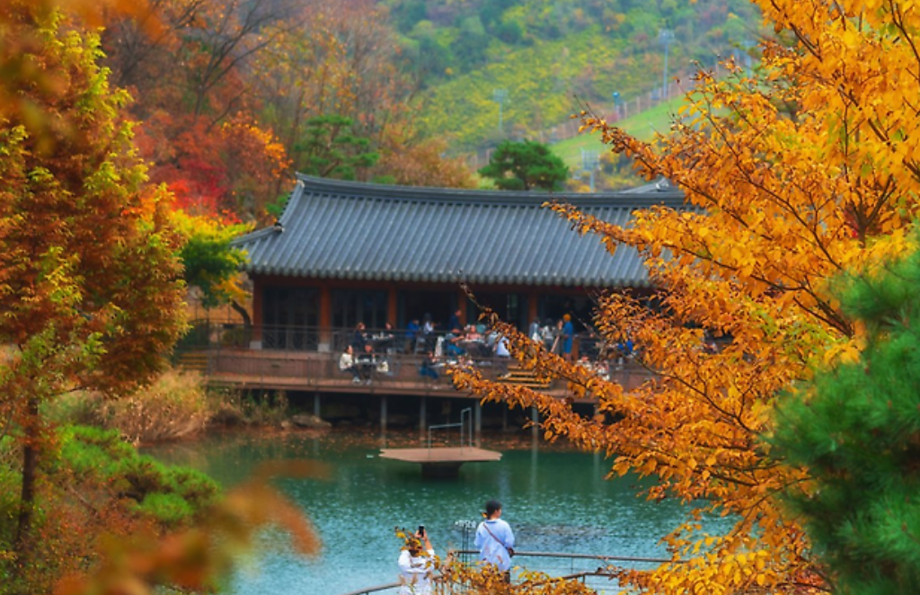 단풍절정