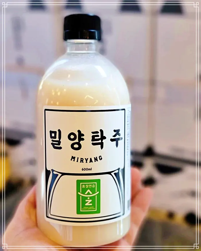 이만기 동네한바퀴 시즌2 장인어른과 사위의 꿈이 익어가는 양조장 막걸리, 밀양클래식청약주, 탁주 전국 택배 온라인 주문 추천 밀양 맛집 소개