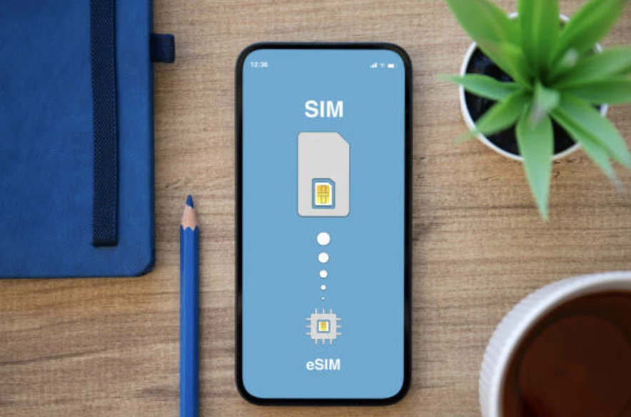 eSIM 지원 단말기