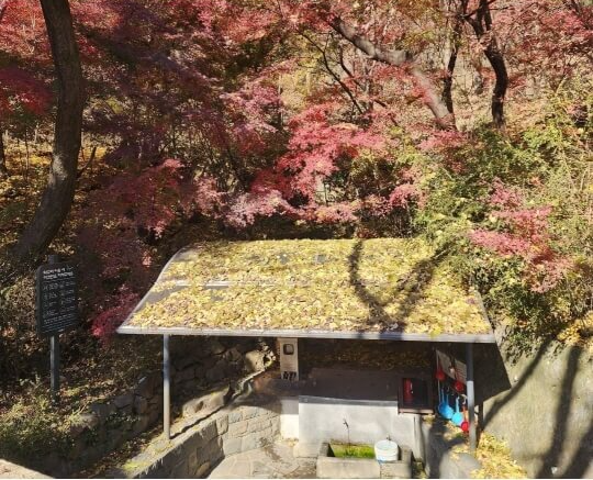 산림청 명품숲길 겨울 트레킹 : 서울 안산 순환형 무장애 자락길