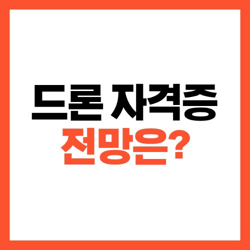 드론 자격증 전망